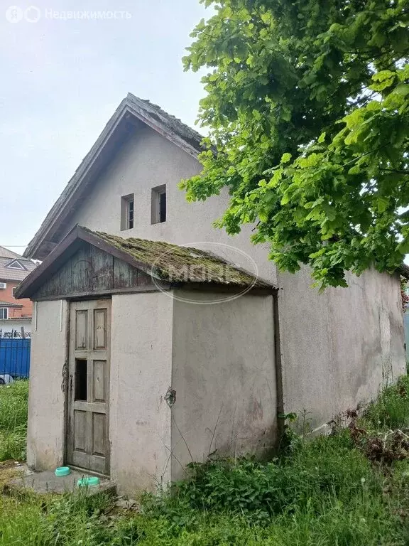 Торговая площадь (34.6 м) - Фото 2