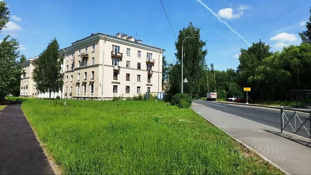 Комната Санкт-Петербург Рябовское ш., 59 (19.6 м) - Фото 1