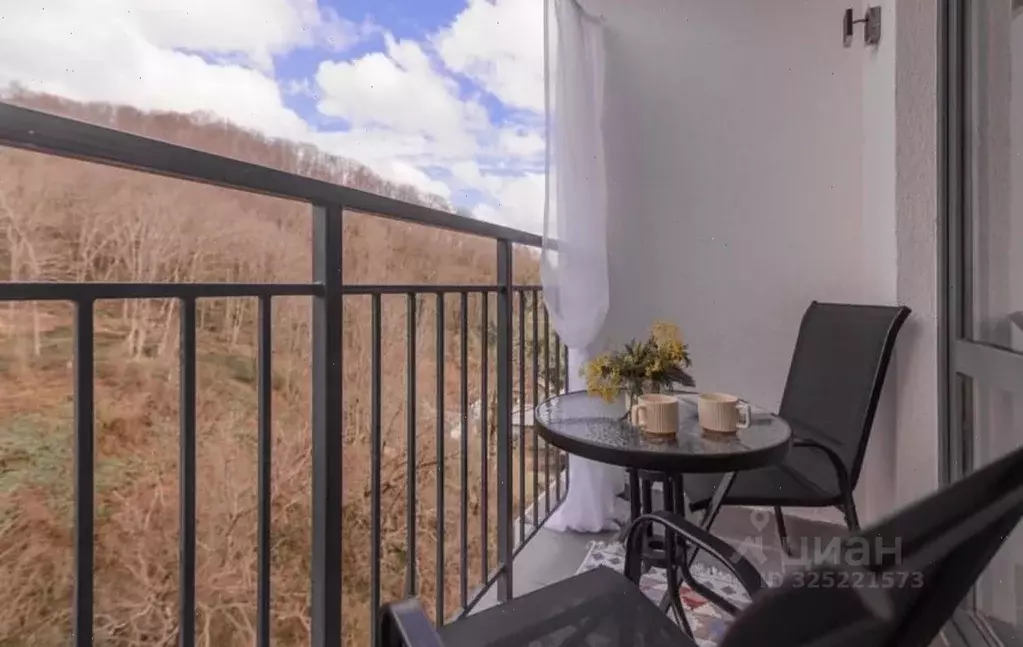 Студия Краснодарский край, Сочи ул. Искры, 88к2 (34.3 м) - Фото 2