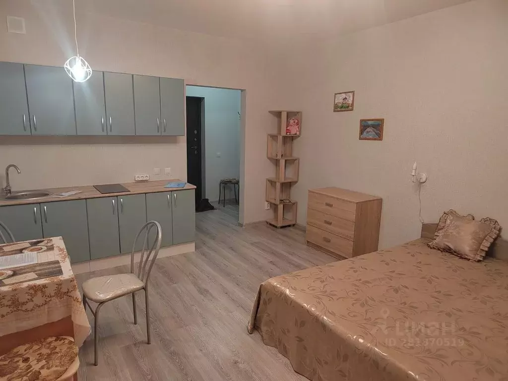 Студия Новосибирская область, Новосибирск Гурьевская ул., 177/1 (30.0 ... - Фото 0