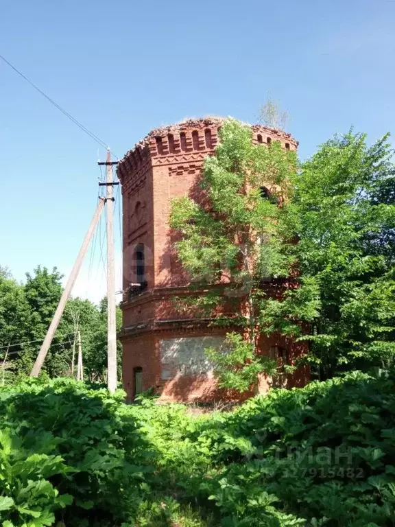 Участок в Ленинградская область, Лужский район, Ям-Тесовское с/пос, д. ... - Фото 1