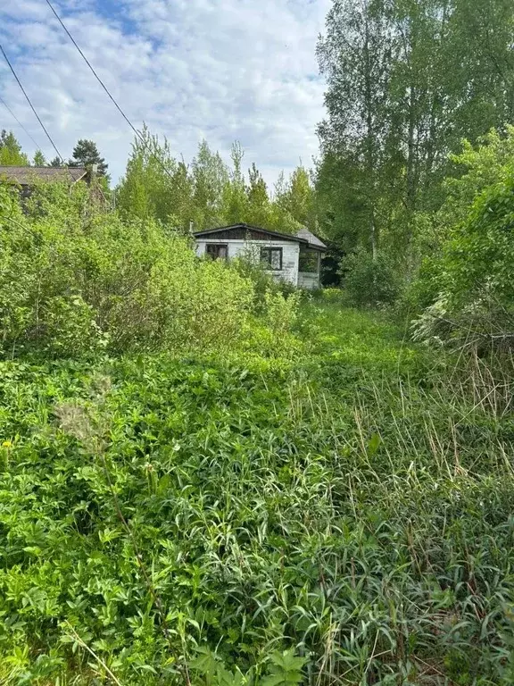 Участок в Ленинградская область, Всеволожский район, Рахьинское ... - Фото 1