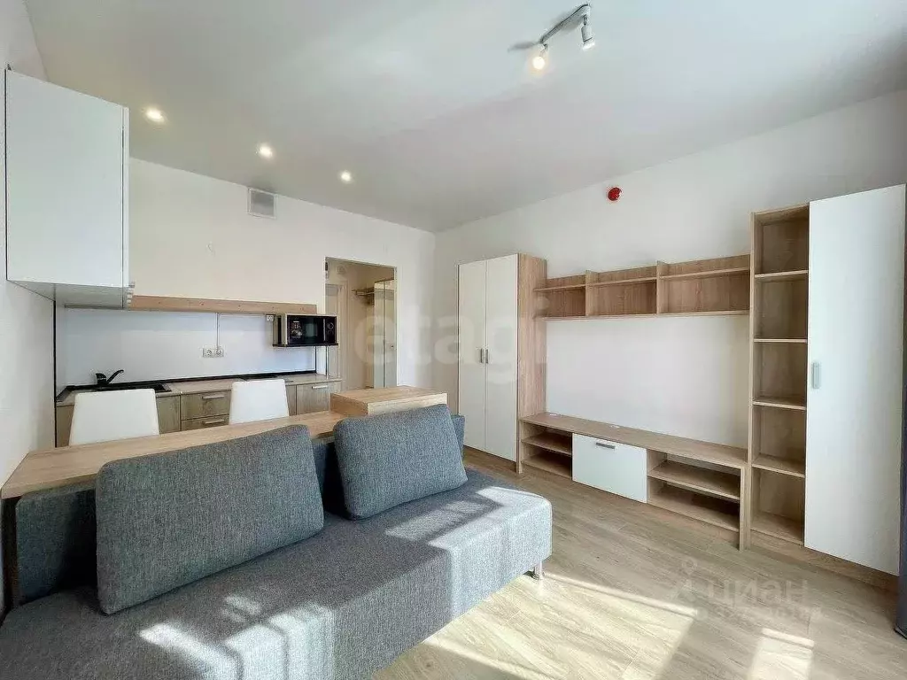 Студия Москва ул. Усадебный Парк, 3 (19.8 м) - Фото 1