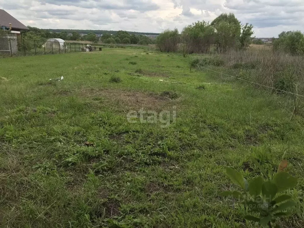 Участок в Белгородская область, Белгородский район, Беловское с/пос, ... - Фото 1
