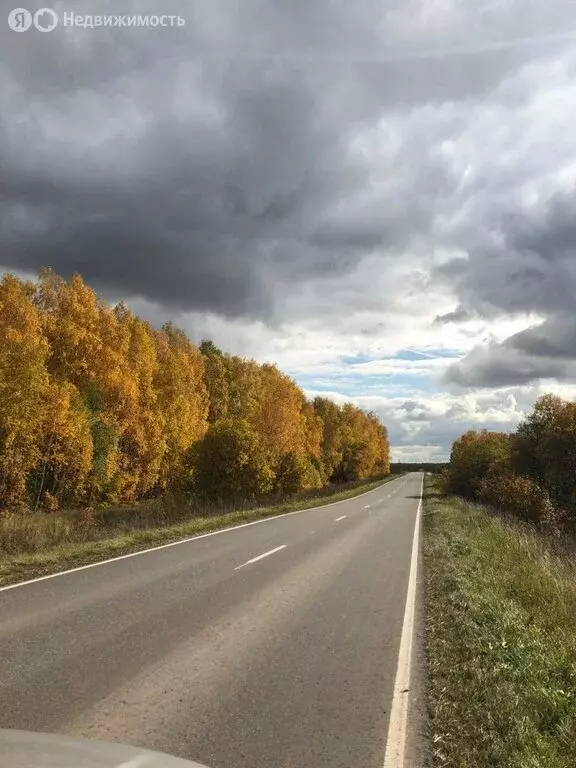 Участок в Ясногорский район, муниципальное образование Иваньковское, ... - Фото 0