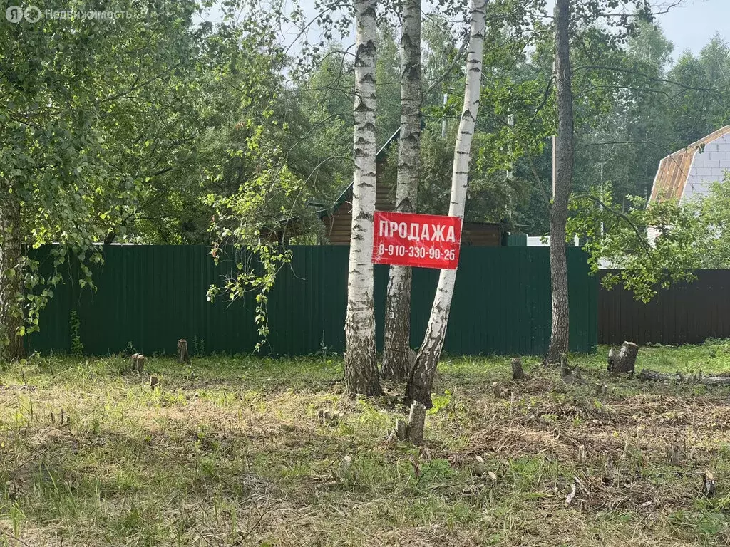 Участок в Сети, Берёзовая улица (10 м) - Фото 1