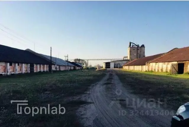 Производственное помещение в Алтайский край, с. Родино ул. Ленина, 8 ... - Фото 1