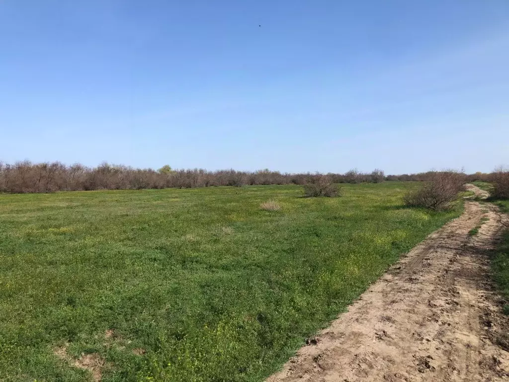 Участок в Астраханская область, Камызякский район, с. Полдневое  (1.66 ... - Фото 2