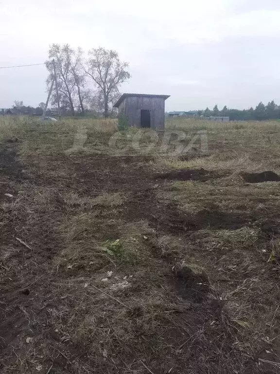 Участок в Свердловская область, Тугулымский муниципальный округ, село ... - Фото 1