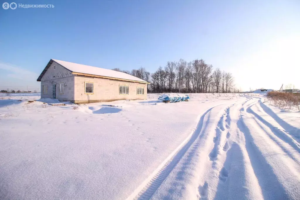 Дом в село Фирсово, жилой комплекс Палитра (165 м) - Фото 1