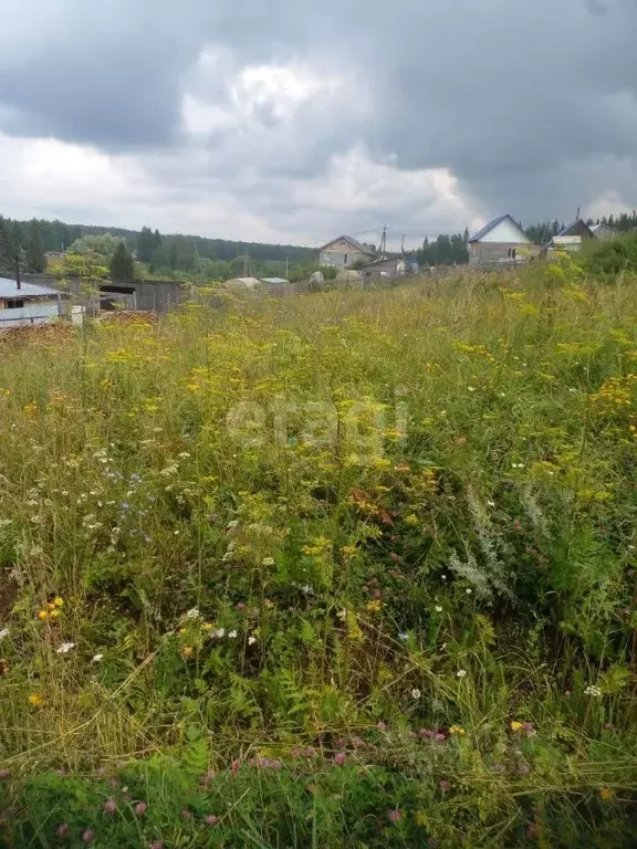 участок в пермский край, октябрьский городской округ, сарс рп ул. . - Фото 1