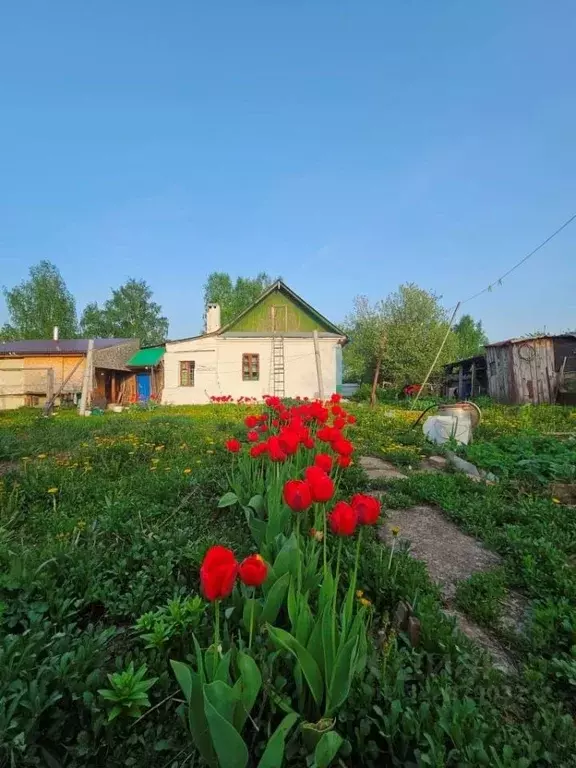 Дом в Татарстан, Казань Займищенская ул. (63 м) - Фото 1