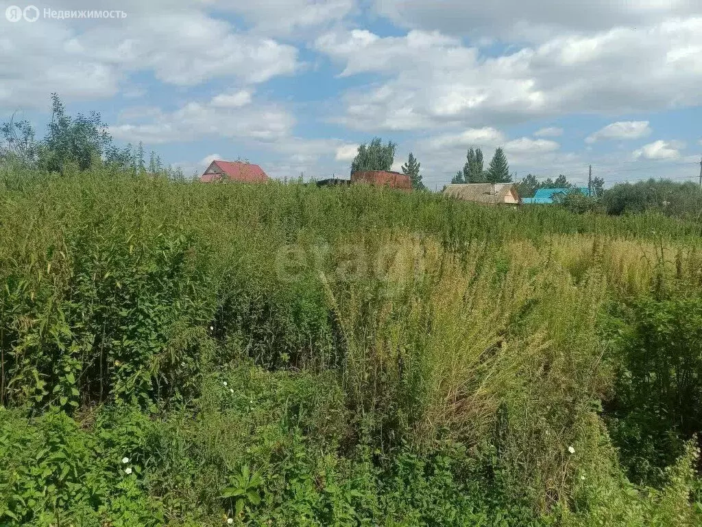 Участок в Челябинская область, Чебаркульский муниципальный округ, ... - Фото 1