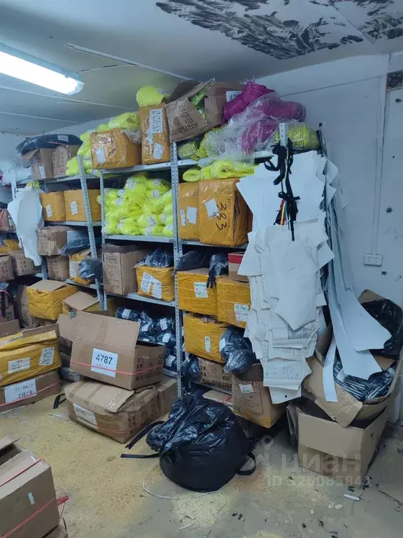 Помещение свободного назначения в Пензенская область, Пенза Окружная ... - Фото 2