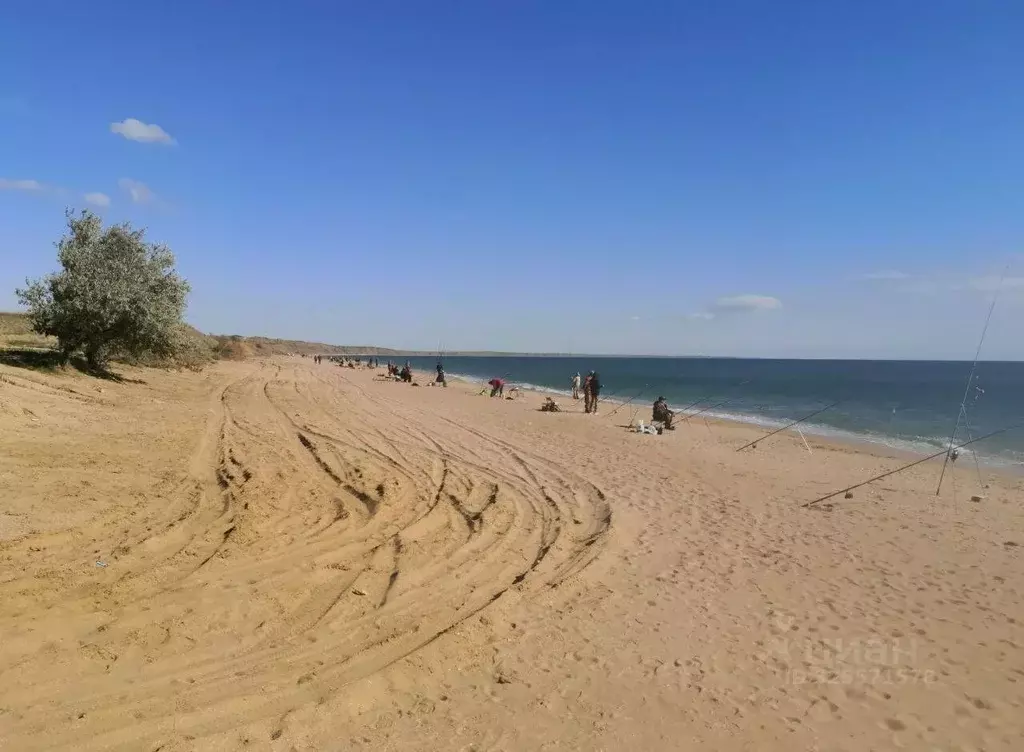 Участок в Крым, Ленинский район, Батальненское с/пос, Нептун СНТ 556 ... - Фото 1