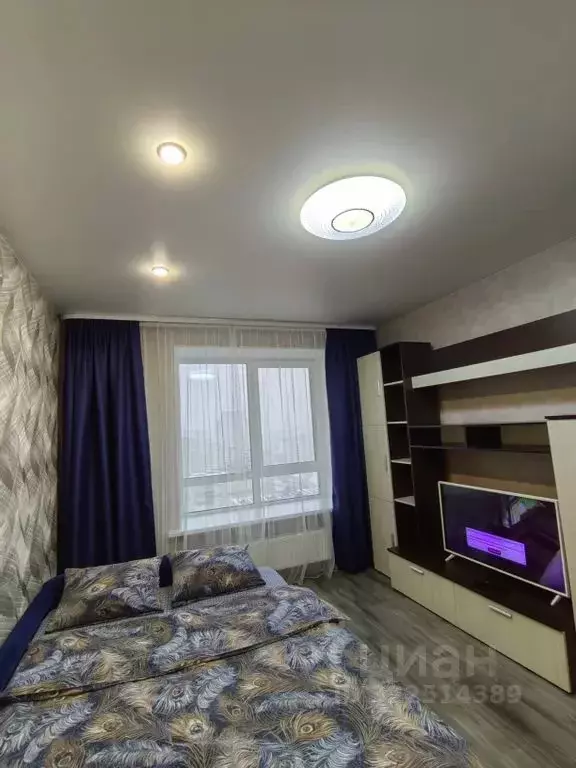 1-к кв. Алтайский край, Барнаул Песчаная ул., 171 (39.0 м) - Фото 2