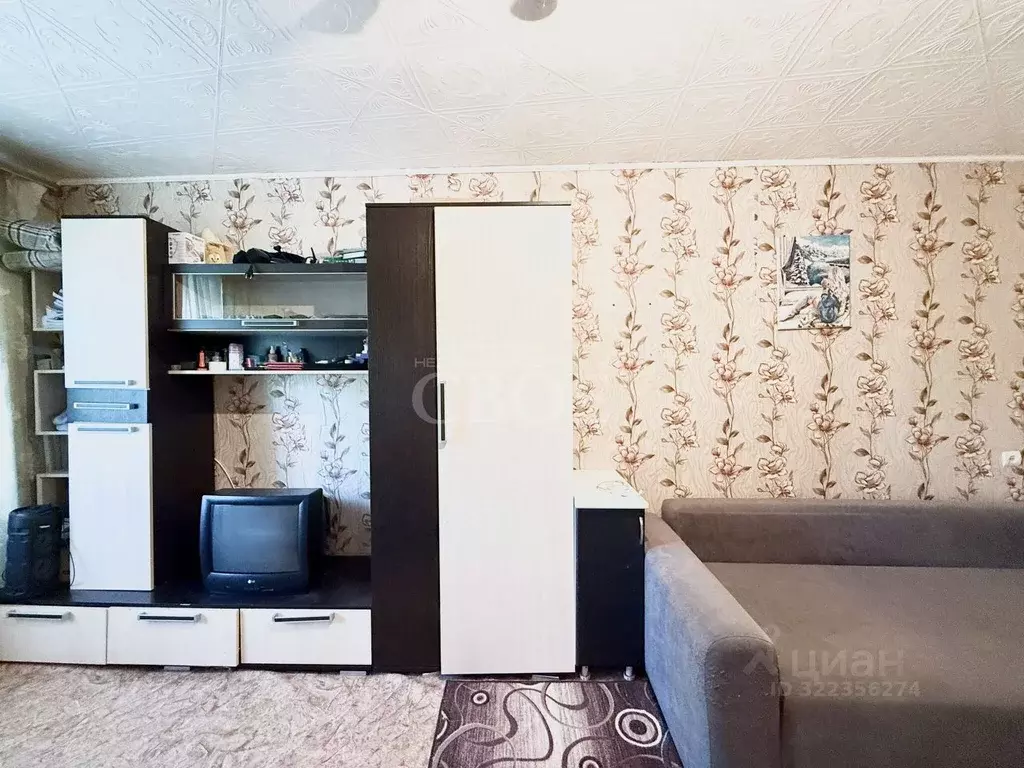 1-к кв. Красноярский край, Красноярск ул. Сергея Лазо, 18 (29.3 м) - Фото 0