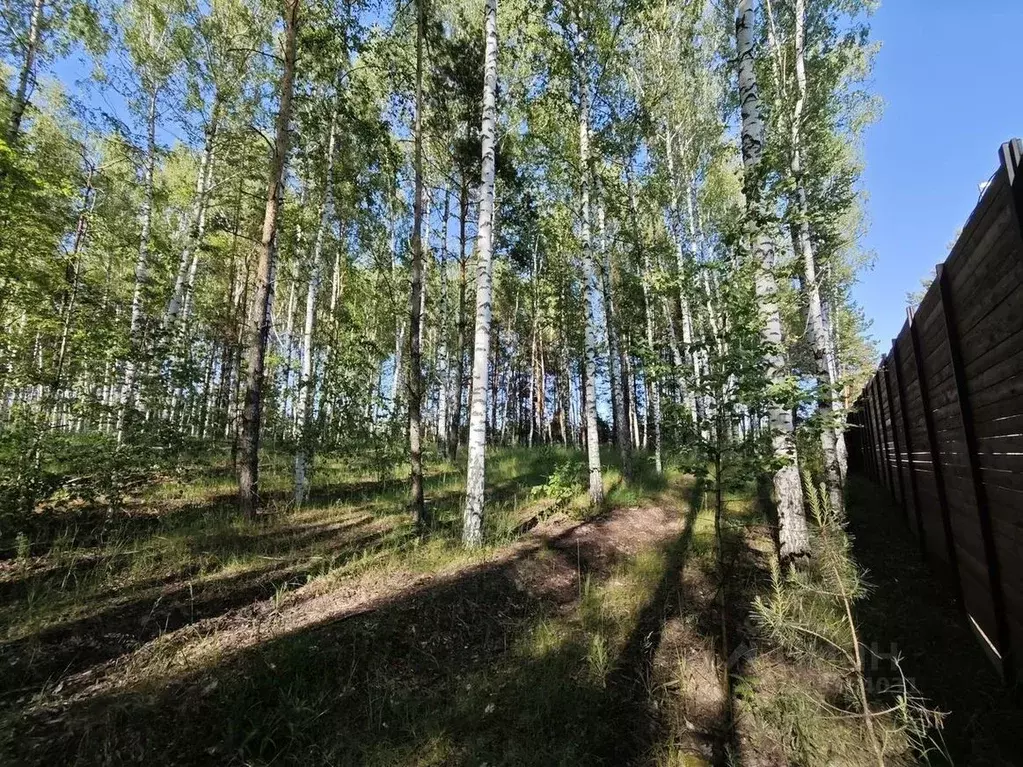 Участок в Пензенская область, Бессоновский район, Сосновский ... - Фото 2