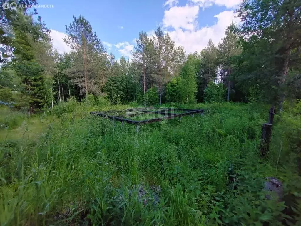 Участок в Архангельск, садовое товарищество Ваганиха (9.6 м) - Фото 1