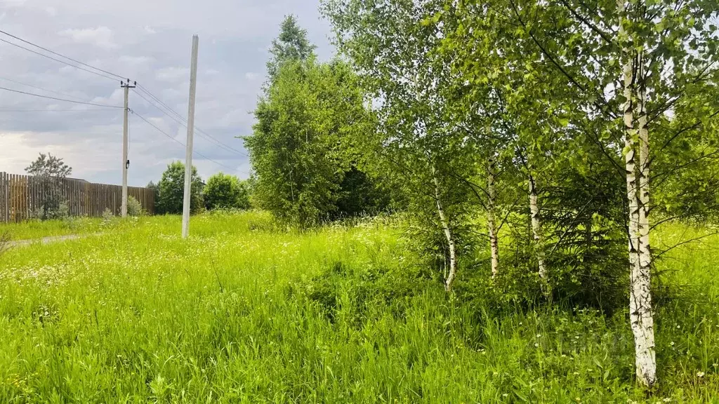 Участок в Московская область, Дмитровский муниципальный округ, д. ... - Фото 1