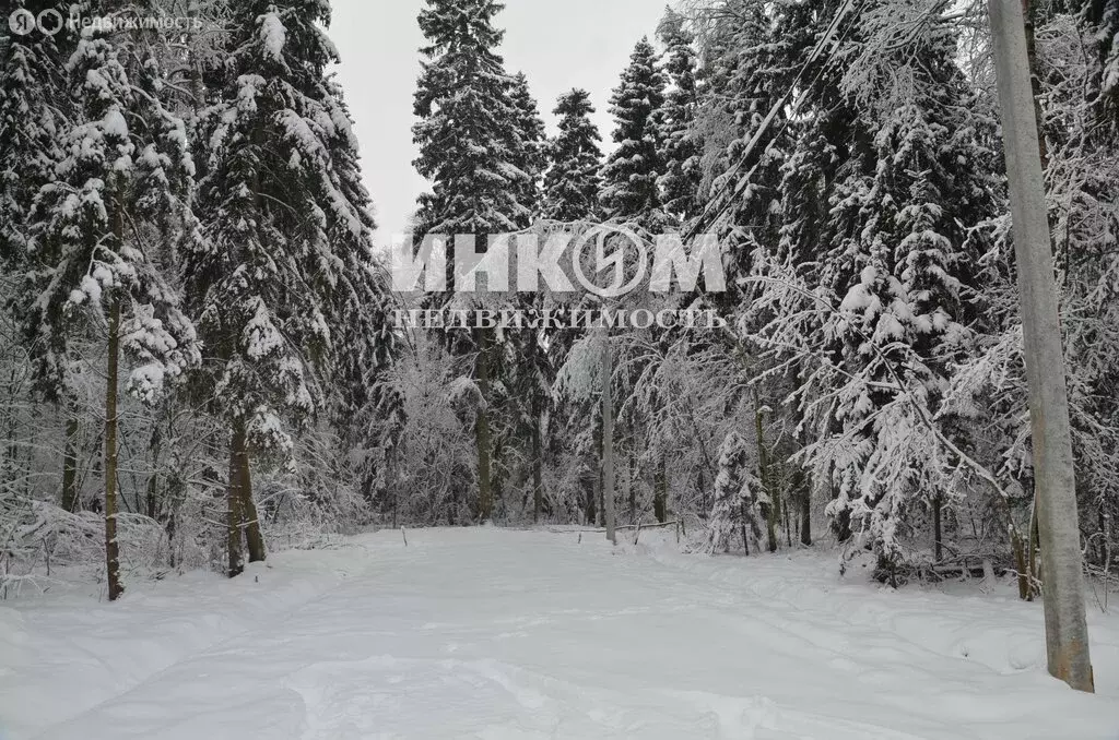 Участок в Московская область, Дмитровский муниципальный округ, деревня ... - Фото 1