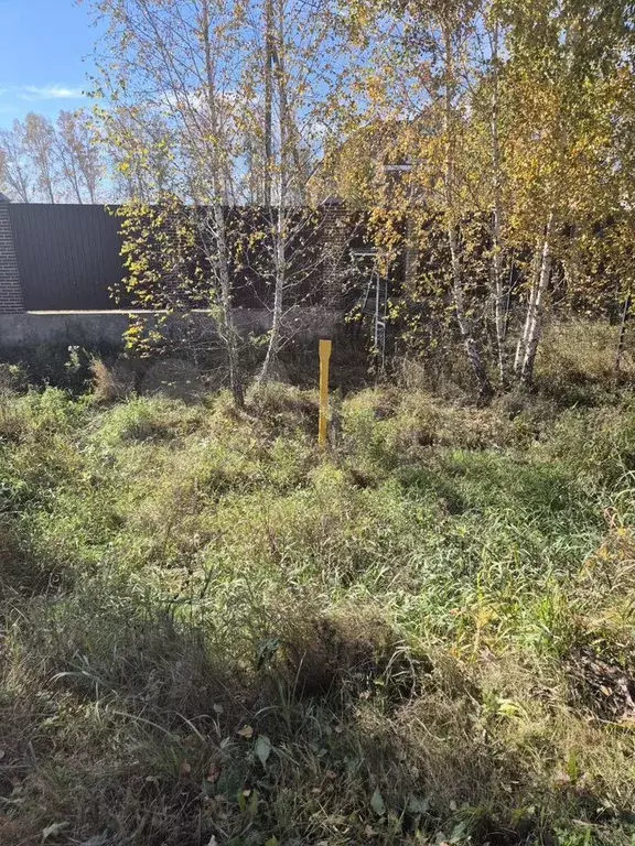 Участок 12,8 сот. (ИЖС) - Фото 1