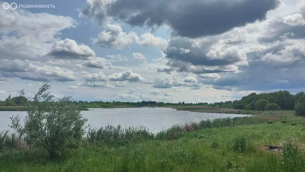 Участок в Тверская область, Конаковский муниципальный округ, ... - Фото 1