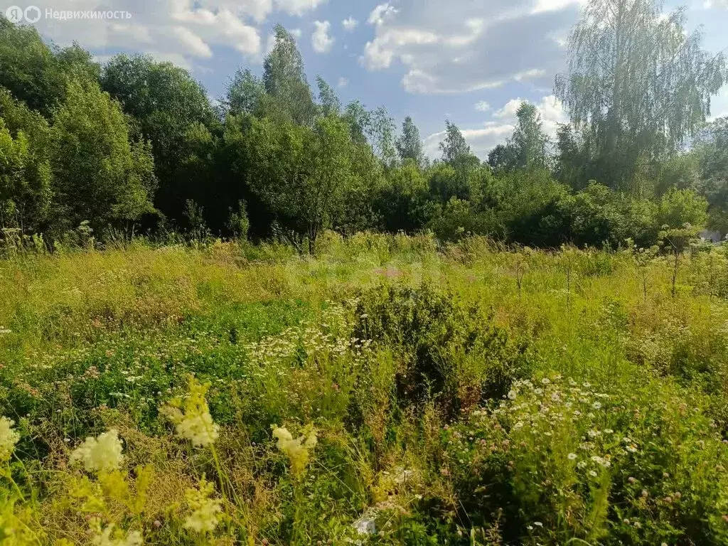 Участок в посёлок городского типа Красное-на-Волге, посёлок ... - Фото 1