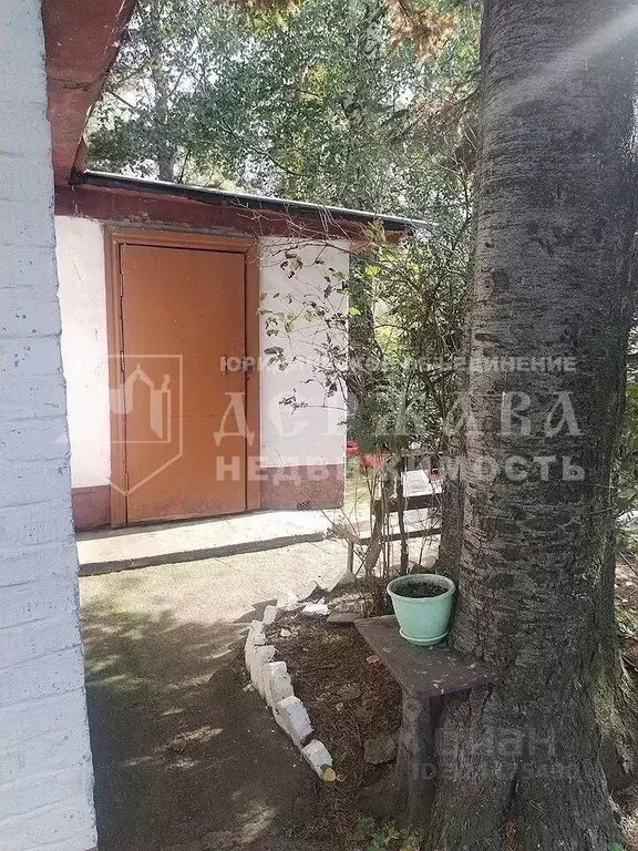 Дом в Кемеровская область, Кемерово Мичуринские Сады АО КОКС СНТ, 885 ... - Фото 2