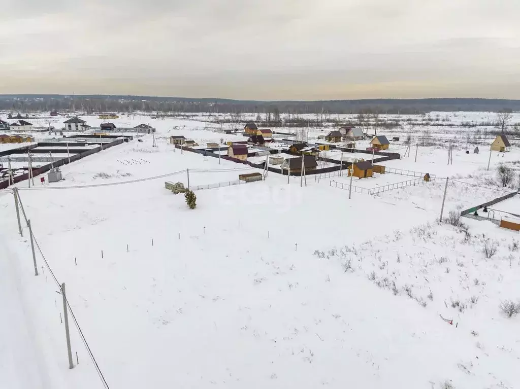 Участок в Новосибирская область, Новосибирский район, Кубовинский ... - Фото 1