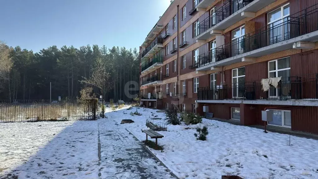 Помещение свободного назначения в Новосибирская область, Бердск ... - Фото 2