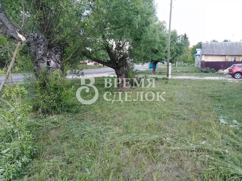 Дом в Владимирская область, Камешковский муниципальный округ, д. Новая ... - Фото 1