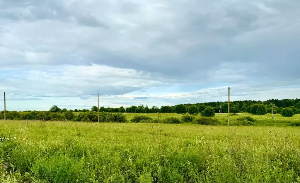 Участок в Московская область, Ступино городской округ, пос. Новое ... - Фото 1