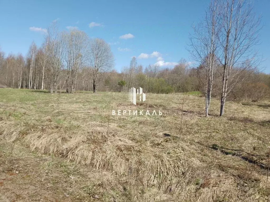 Участок в Ленинградская область, Выборгский район, Рощинское городское ... - Фото 0