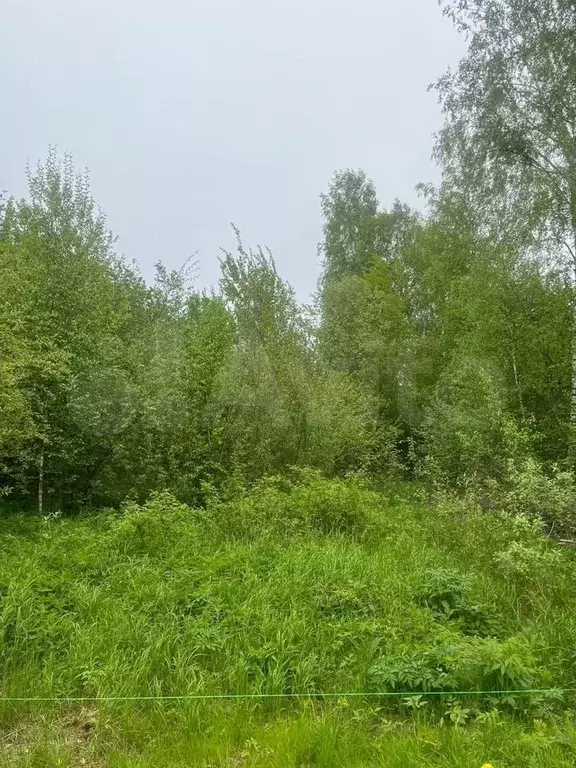 Участок 12 сот. (СНТ, ДНП) - Фото 0