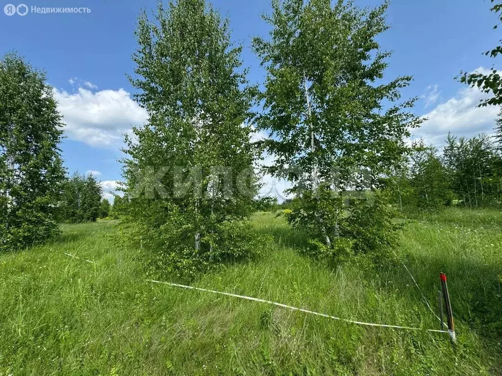 Участок в Каменский сельсовет, ДНТ Каменский Оазис, Весенняя улица (8 ... - Фото 1