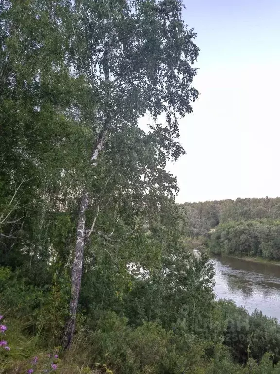 Участок в Новосибирская область, Мошковский район, Березка ДНТ 288 ... - Фото 2