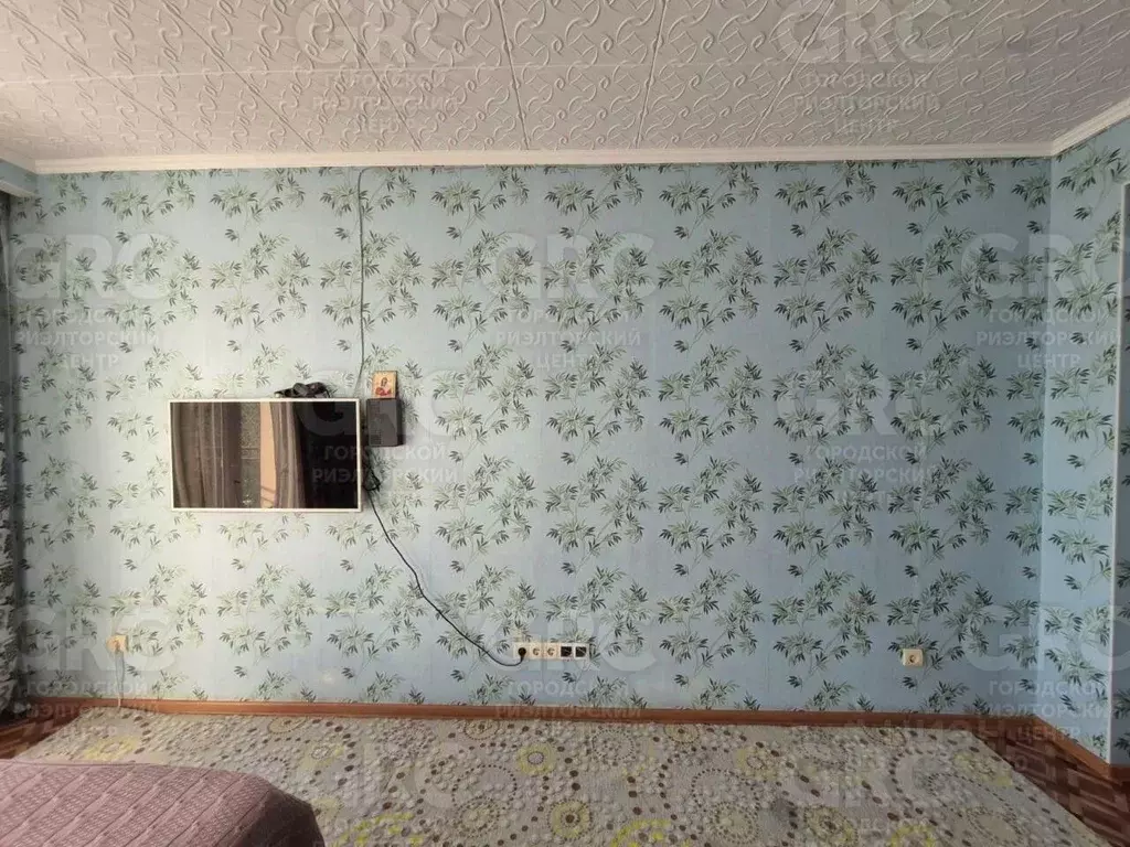 Студия Краснодарский край, Сочи городской округ, с. Орел-Изумруд ул. ... - Фото 1