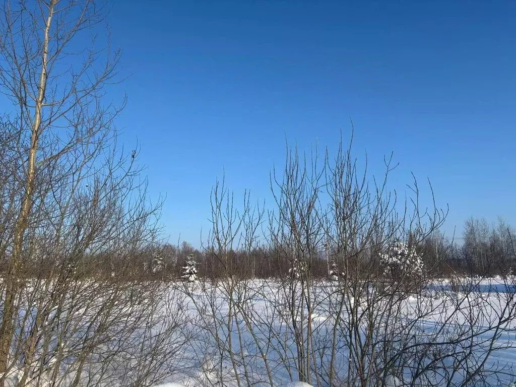 Участок в Московская область, Павлово-Посадский городской округ, д. ... - Фото 1