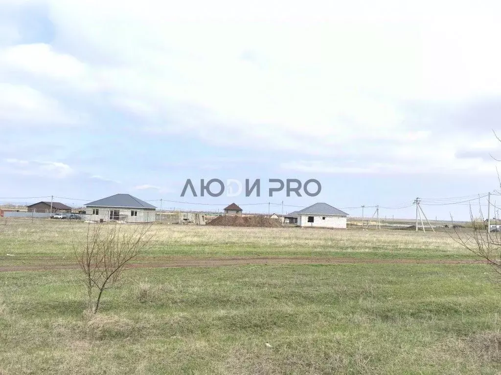 Участок в Саратовская область, Энгельсский район, Терновское ... - Фото 2