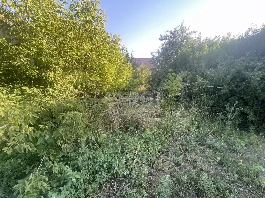 Участок в Белгородская область, Белгородский район, Северный городское ... - Фото 0