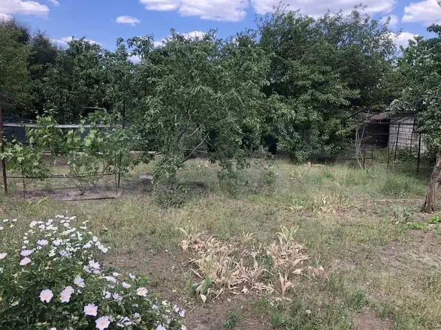 Дом в Волгоградская область, Волгоград Труд СНТ, ул. Яблоневая (21 м) - Фото 2