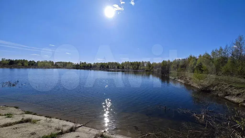 Участок 12 сот. (СНТ, ДНП) - Фото 1