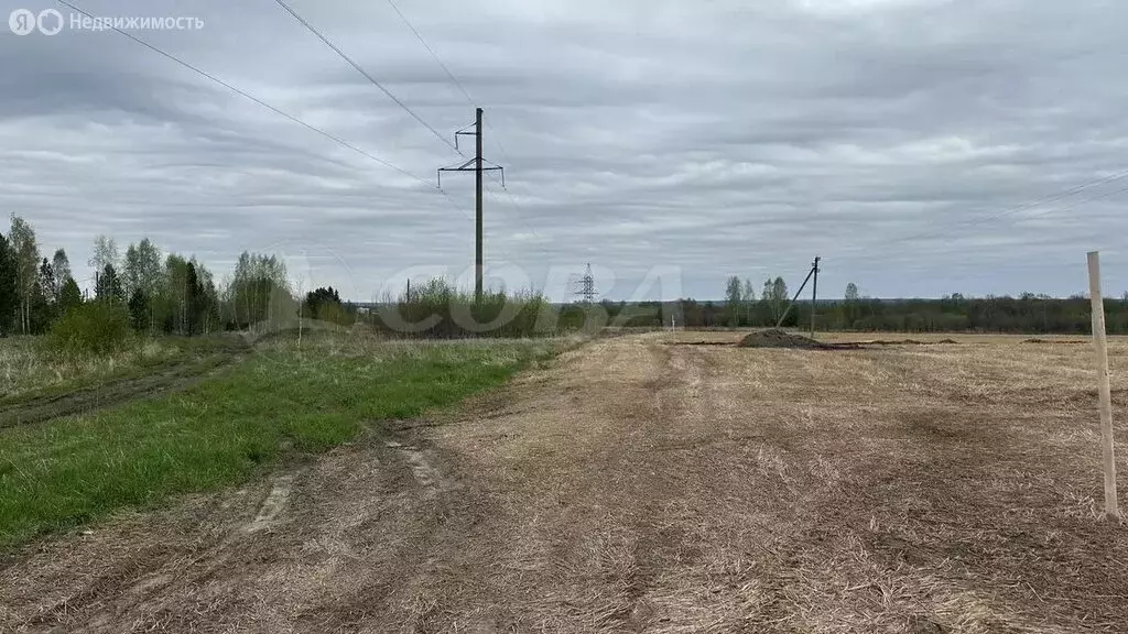 Участок в Свердловская область, Тугулымский муниципальный округ, ... - Фото 1