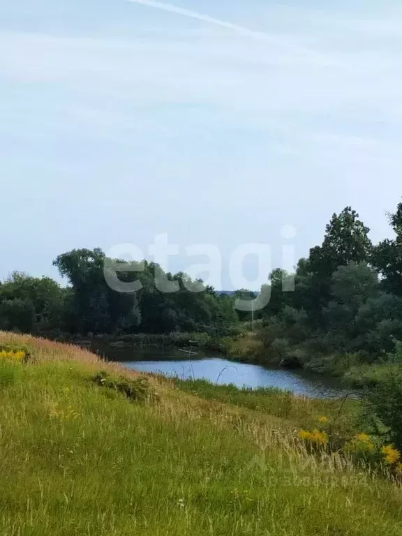 Участок в Тульская область, Ясногорский район, Теляковское ... - Фото 1