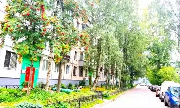 1-к кв. Санкт-Петербург Авангардная ул., 41 (32.0 м) - Фото 2