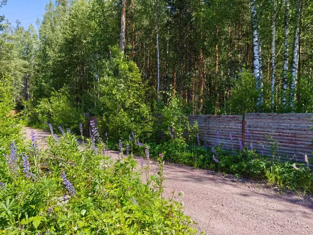 Дом в Ленинградская область, Выборгский район, Рощинское городское ... - Фото 0