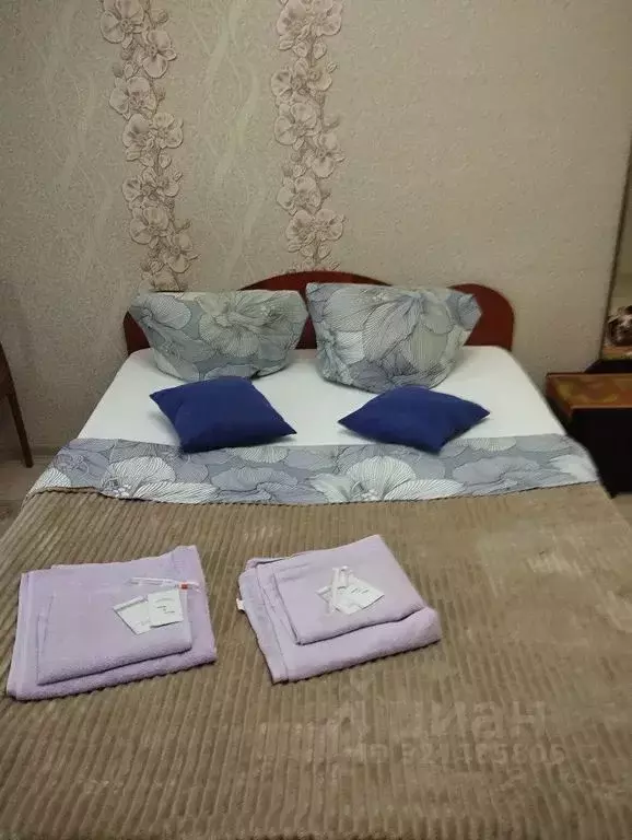 1-к кв. Челябинская область, Челябинск ул. Энтузиастов, 25Б (33.0 м) - Фото 2