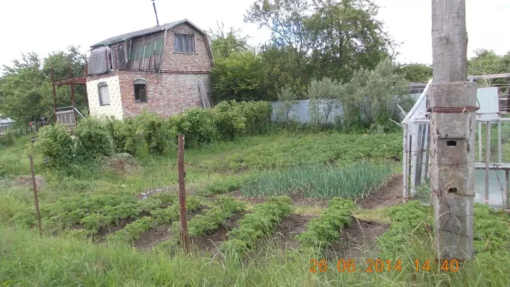Участок в Калининградская область, Багратионовский муниципальный округ ... - Фото 2