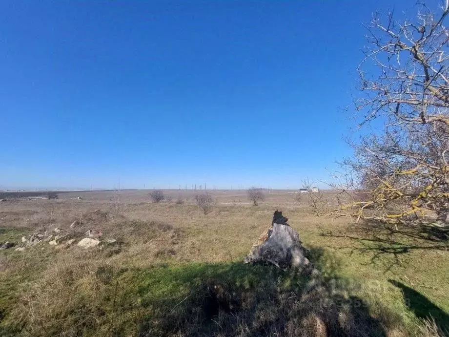 Участок в Крым, Симферопольский район, с. Мирное  (6.1 сот.) - Фото 2